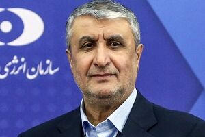 اسلامی یدعو المدیر العام للوکالة الدولیة لالتزام الحیاد


